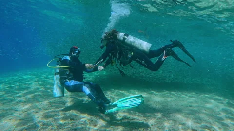 Scuba-diving instructor and novice diver swim in massive bait ball of Stock Footage 336485320