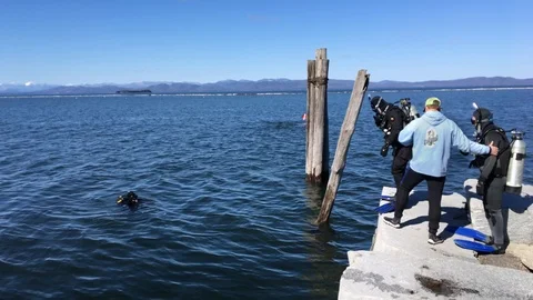 Scuba Diving Instructor Directs Students To Jump Into Lake Champlain Stock Footage 89301640