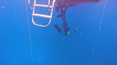 Scuba Diving instructor walking on the bottom of the boat in the Cayman Islan Stock Footage 289137992