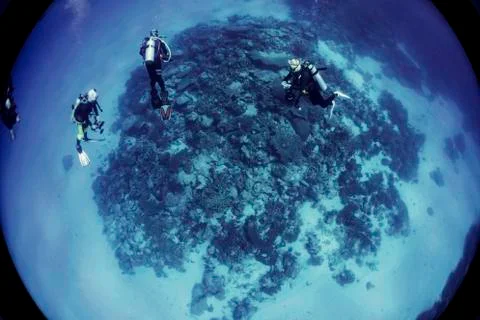 Scuba Diving into ocean Stock Photos