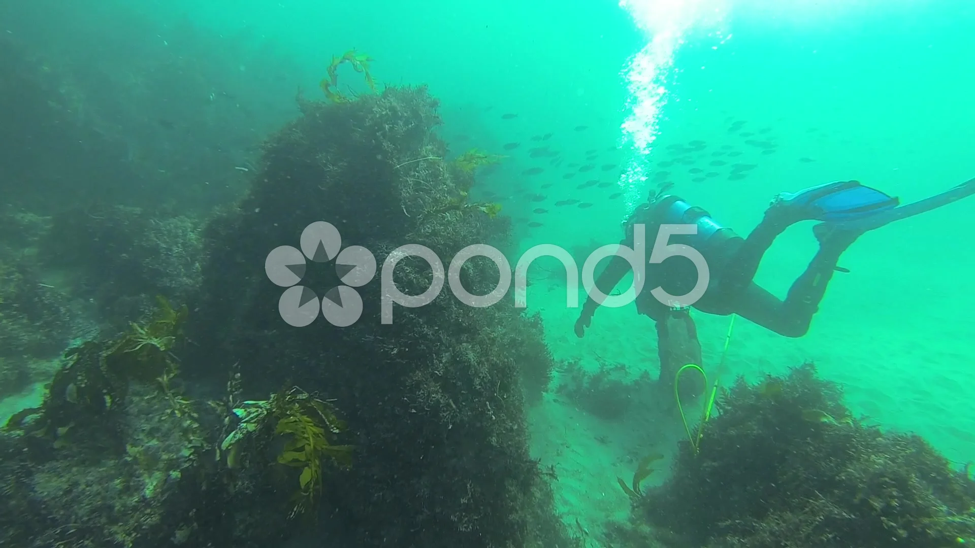 Scuba Diving Redondo Beach Video Clip 41390597 Pond5