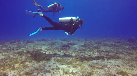 Scuba Diving - Reef 02 Stock Footage 37003624