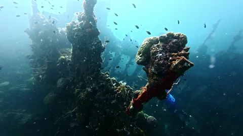 Scuba diving shipwreck in Philippines, Coron Palawan Stock Footage 302855320
