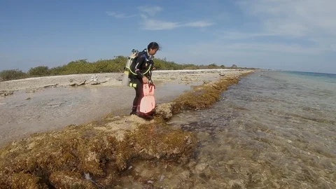 Scuba diving from shore in the Caribbean Stock-Footage 122053964
