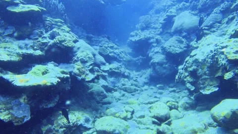 Scuba diving swimming moving camera view of small narrow passage way of various  Stock Footage 314265962