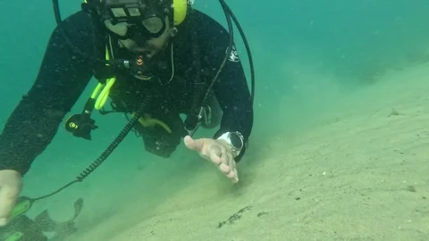 Scuba Diving Under Water Treasure Hunter Metal Detecting &amp;amp; Fanning Sand  Stock Footage 263952004