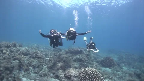 SCUBA DIVING UNDERWATER 스톡 동영상 208557977