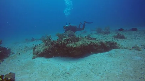 ScubaDiver behind Corals 스톡 동영상 94003671