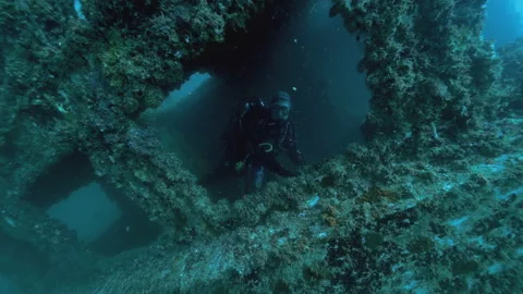 Scubadiver inside sunken ship wreck, Atlantic Ocean 스톡 동영상 167070489