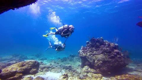 Scubadiving couple underwater Stock Footage 142022309