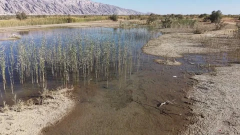 Scudrun1-1 Stock Footage 328263473