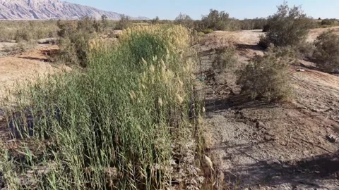 Scudrun2-1 Stock Footage 328263477