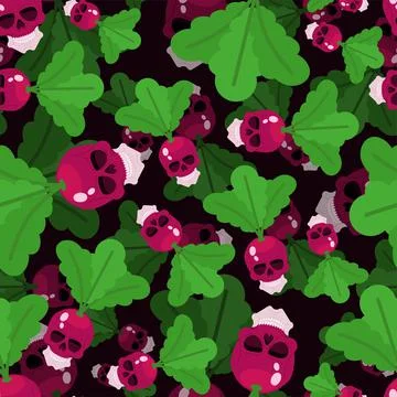 Scull Radish pattern seamless. skeleton head vegetable garden plant backgroun 스톡 일러스트