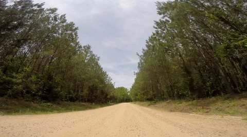 Scull Shoals Experimental Forest 05-09-2015 Video stock 50690110