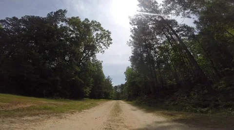 Scull Shoals Experimental Forest 05-09-2015 Video stock 50698427
