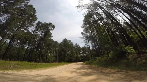 Scull Shoals Experimental Forest 05-09-2015 Vidéo 50701502