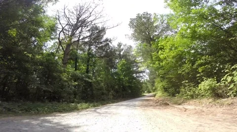 Scull Shoals Experimental Forest 05-09-2015 Stock Footage 50709031