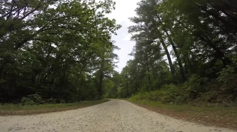 Scull Shoals Experimental Forest 05-09-2015 Stock-Footage 50710076