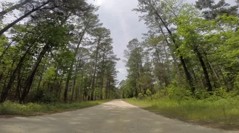 Scull Shoals Experimental Forest 05-09-2015 Stock-Footage 50710888