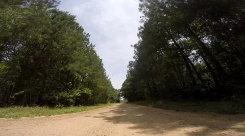 Scull Shoals Experimental Forest - Smart Phone Directions Stock Footage 49988840