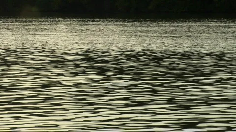 Scull01 Stock Footage 506583