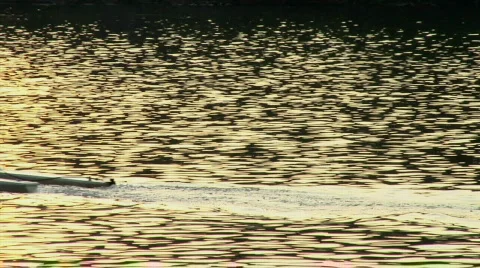 Scull02 Stock Footage 506591