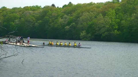 Sculling crew on the river for a day of training Stock Footage 7900707