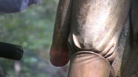 Sculptor Stock Footage 2565637