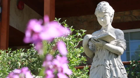 Sculpture and flower Stock Footage 44346865