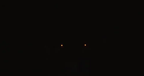 Sculpture of a dragon Stock Footage 134566532