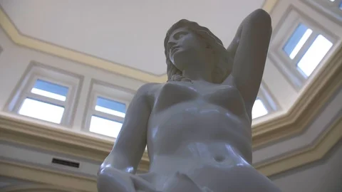 Sculpture of the Lady Stock Footage 86339720
