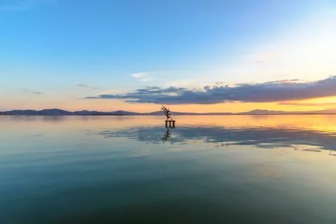 Sculpture on a lake at sunset. Stock Photos