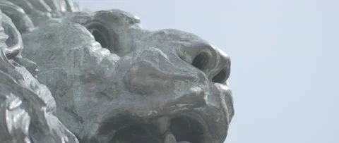 Sculpture of a lion Stock-Footage 170081223