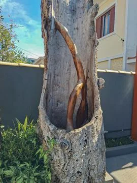 A sculpture made inside a tree trunk. Foto stock