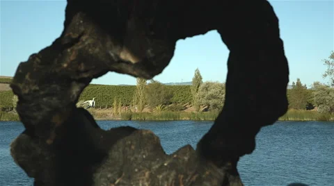 Sculpture on river Stock Footage 45252735