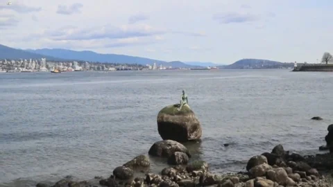 Sculpture on a rock Stock Footage 97208919