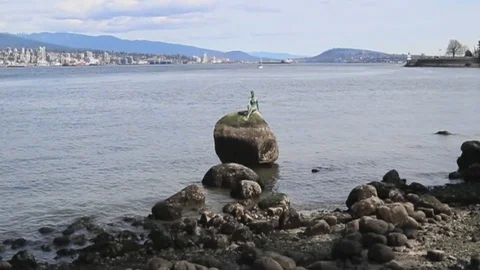 Sculpture on a rock, PAN Stock Footage 97208968
