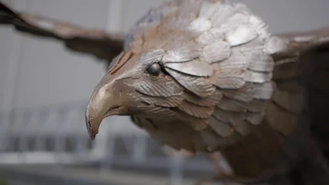 Sculpture soaring Eagle Stock Footage 90128062