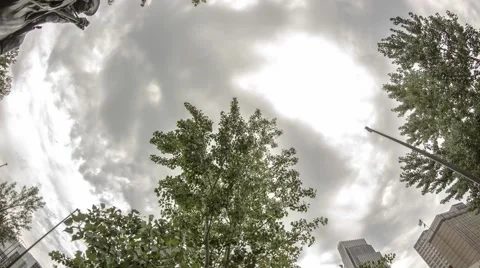 Sculpture Time Lapse Stock Footage 52186213