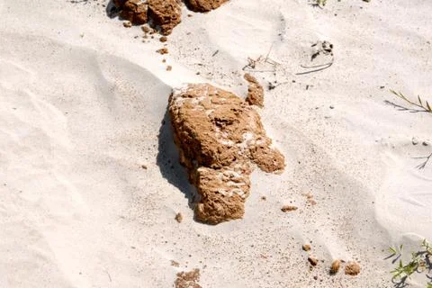 Sculptures from sand Stock Photos