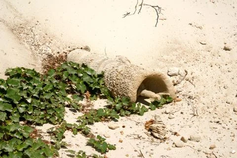 Sculptures from sand Stock Photos