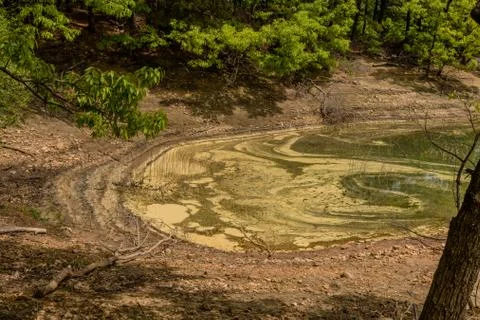 Scum on surface of river. Stock Photos