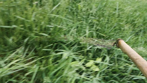 Scythe cutting grass - close up, slow motion Stock Footage 131699375