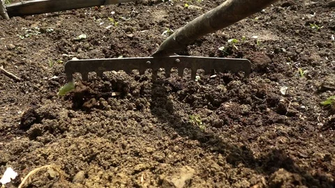 Scythe Digging the Brown Soil  Stock Footage 108012098