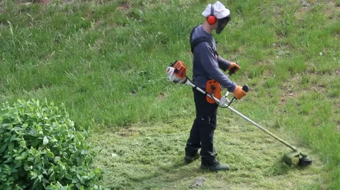 Scythe the grass Stock-Footage 50064536