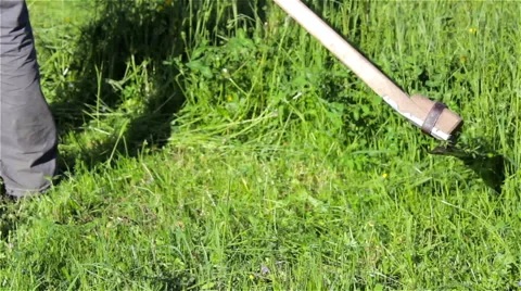 Scythe to mow the grass Stock Footage 50170253