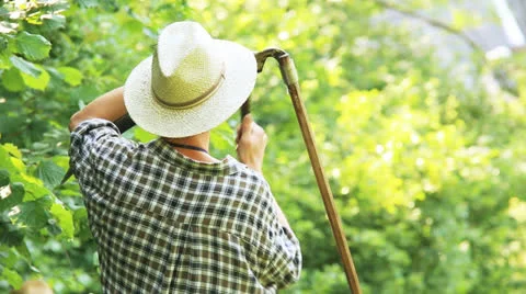 Scythe Sharpening Stock Footage 25494842
