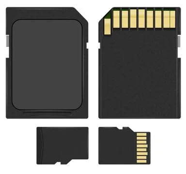 SD and microSD イラスト素材
