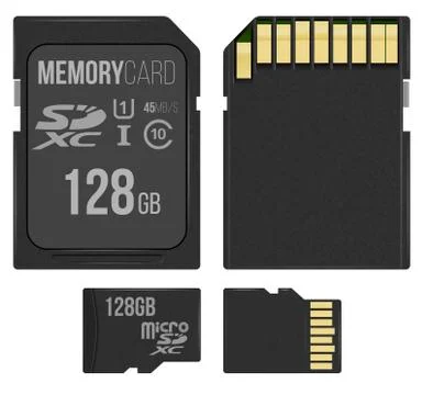 SD and microSD Illustrazione stock