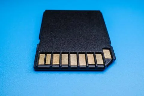 SD Card on Blue Data Storage Electronics Photograph 写真素材